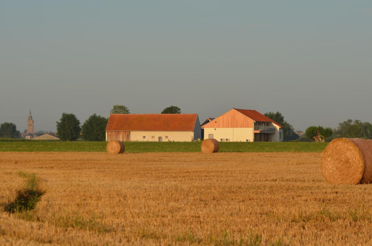 Oversteekhof Roesbrugge-Haringe Экстерьер фото